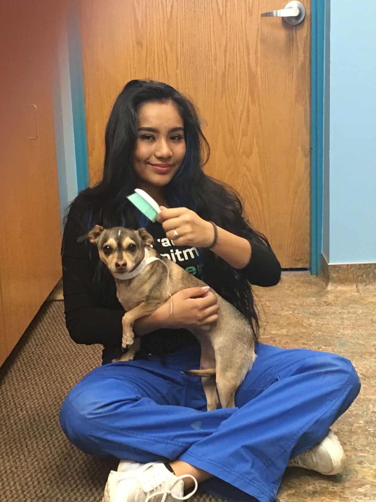 Daniela Perez sitting on the floor holding a small dog and a brush