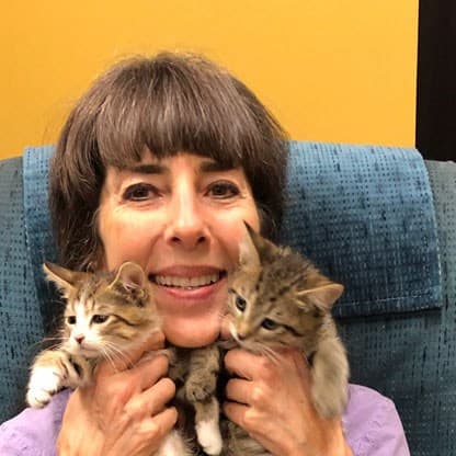 A Kipling team member holding two tabby kittens against her cheek in front of a yellow wall