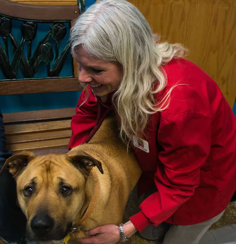 Dr. Jill O’Connell in a red jacket, smiling down at a tan dog