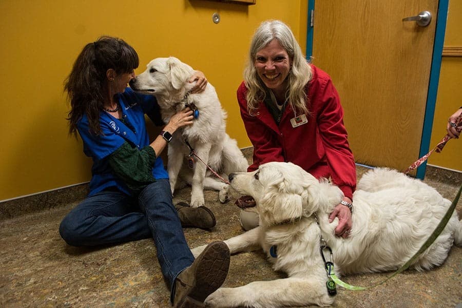 Two Kipling staff members, one in blue scrubs and one in a red jacket, sitting on the floor with two large white dogs
